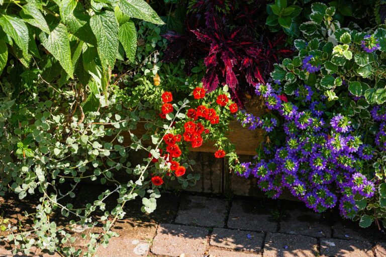 Colorful garden bed with various blooming flowers and foliage.