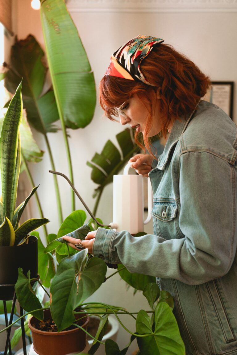 A collection of vibrant houseplants in an indoor setting during winter, representing the topic of winter care and fertilization.