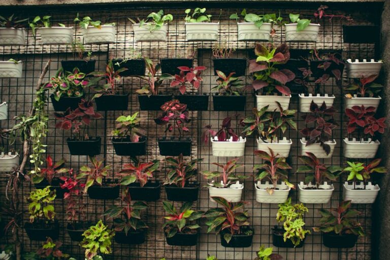 A modern indoor hydroponic gardening system, possibly a Gardyn system, growing fresh herbs and leafy greens in a home setting.