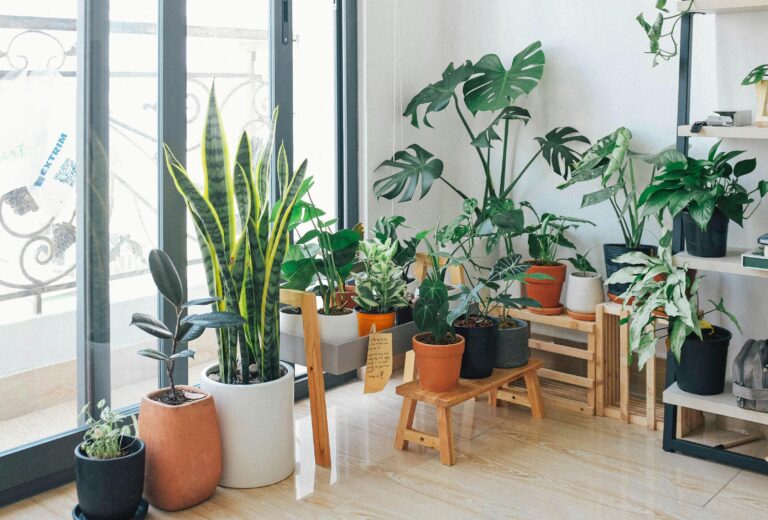 A vibrant collection of various indoor plants, such as spider plants, snake plants, and peace lilies, arranged in a bright living space, symbolizing fresh air and a healthy home environment.