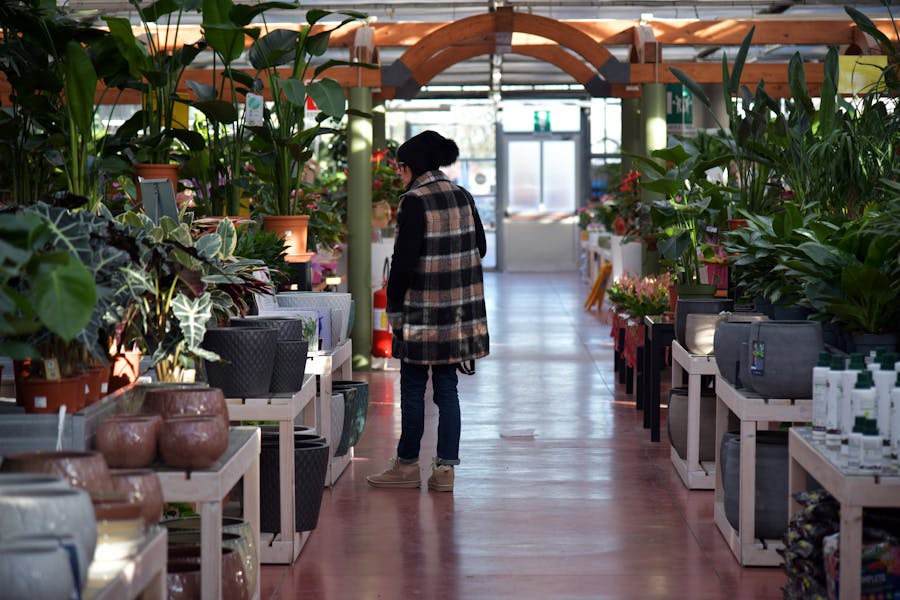 A vibrant interior of a modern plant shop showcasing a variety of houseplants, pots, and gardening supplies, creating an inviting green space.