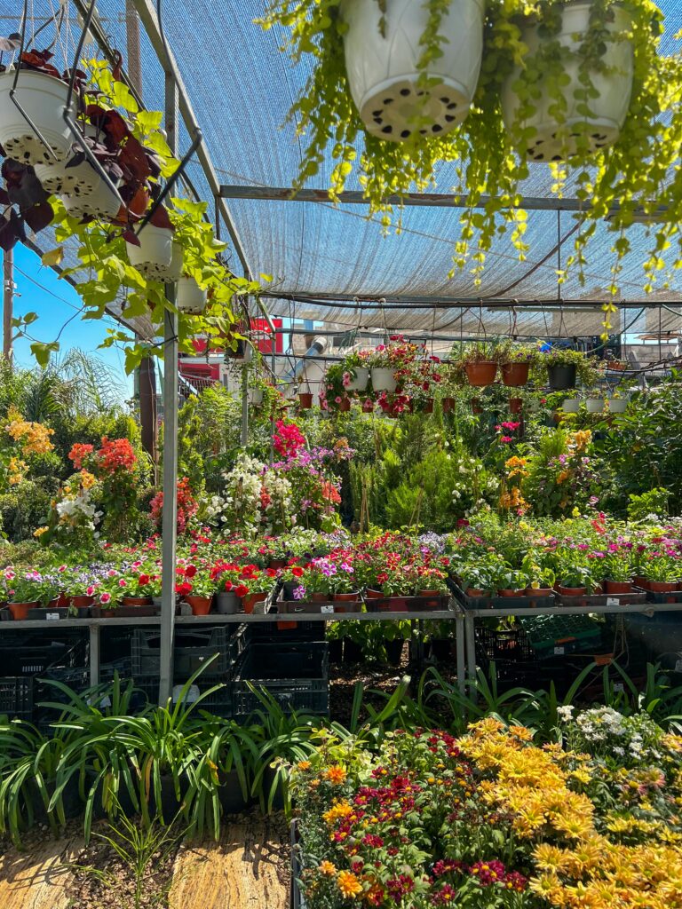 A vibrant scene at the Grand Indian Nursery Mela, showcasing a wide variety of colorful plants, flowers, and gardening supplies, with people exploring the stalls.