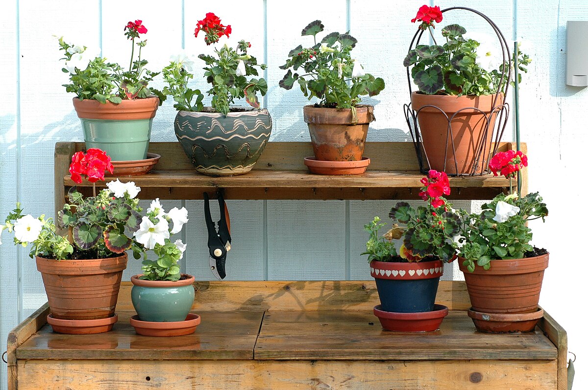A well-organized potting bench in a garden setting, displaying various gardening tools, plants, and pots, ready for use.