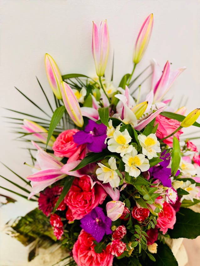 Boost Your Peace Lilies and Orchids: Unlock Bigger Blooms with This Kitchen Secret!