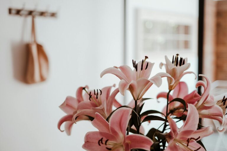 A close-up of vibrant pink lilies in a modern minimalist room with soft natural lighting.