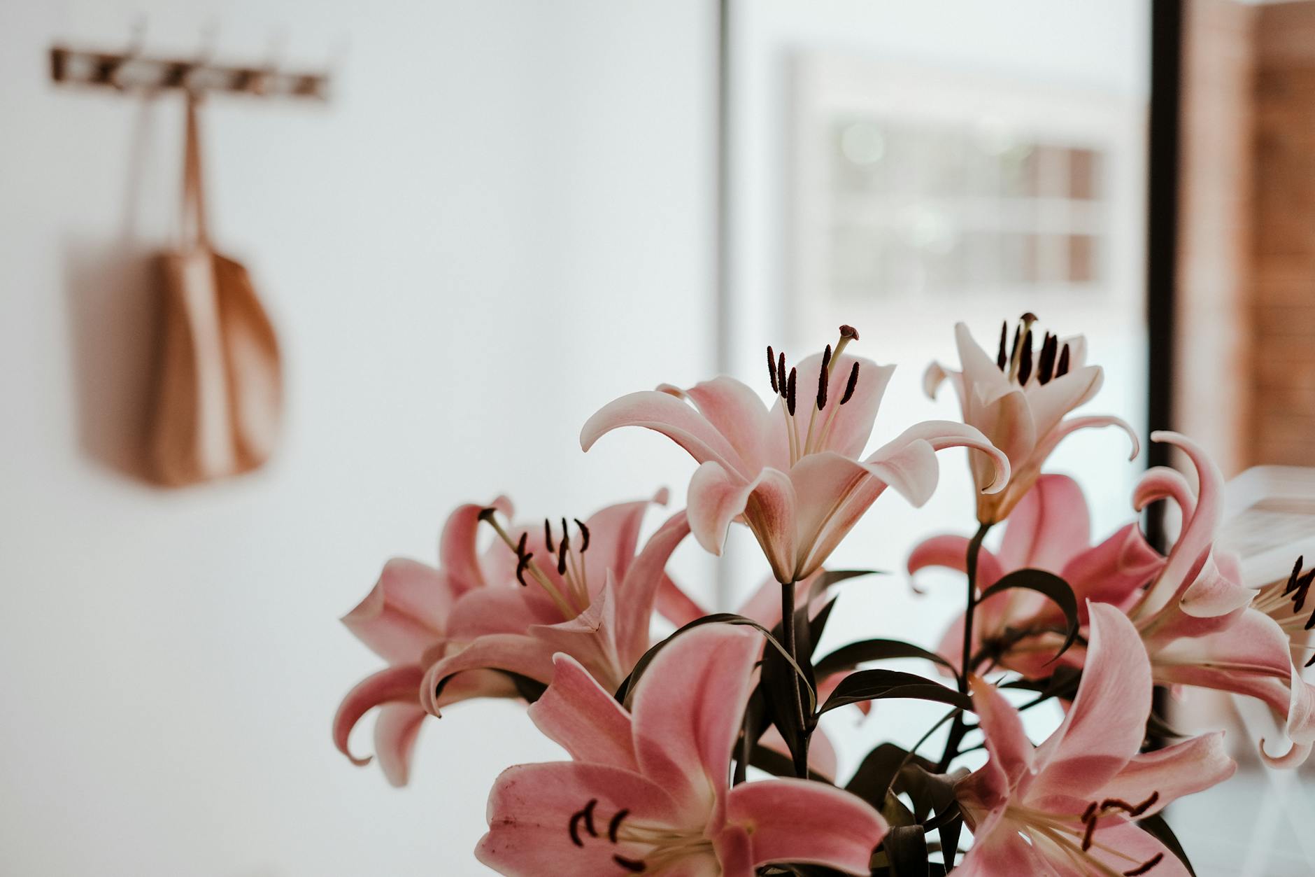 A close-up of vibrant pink lilies in a modern minimalist room with soft natural lighting.