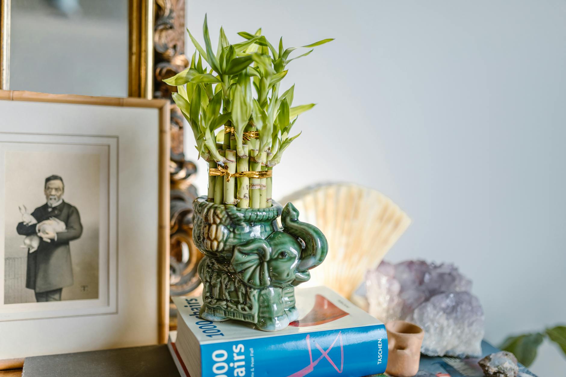 A feng shui inspired setup featuring an elephant vase, bamboo plant, books, and decorative items in a serene home decor setting.