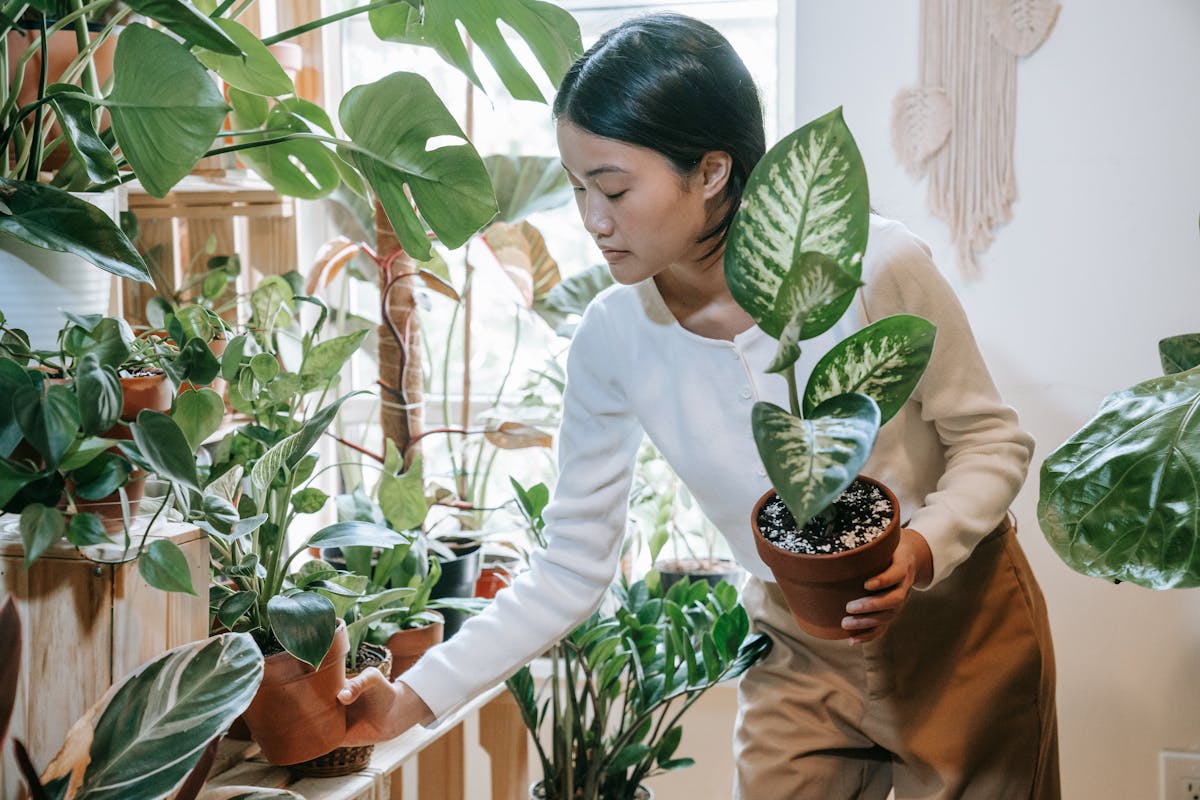An Asian woman arranging and nurturing potted plants in a cozy home garden.