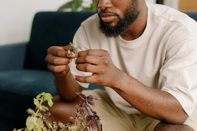 Close-up of a man tending to indoor houseplants, showcasing home gardening activities.