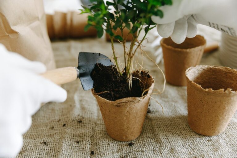 Gardener planting a young plant into a biodegradable pot with soil using a trowel and gloves.