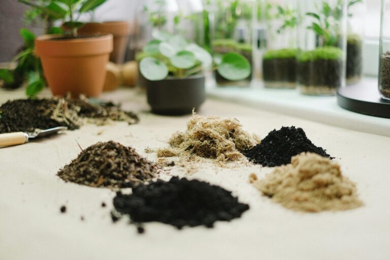 Various soil types arranged on a table surrounded by potted plants, ideal for garden enthusiasts.