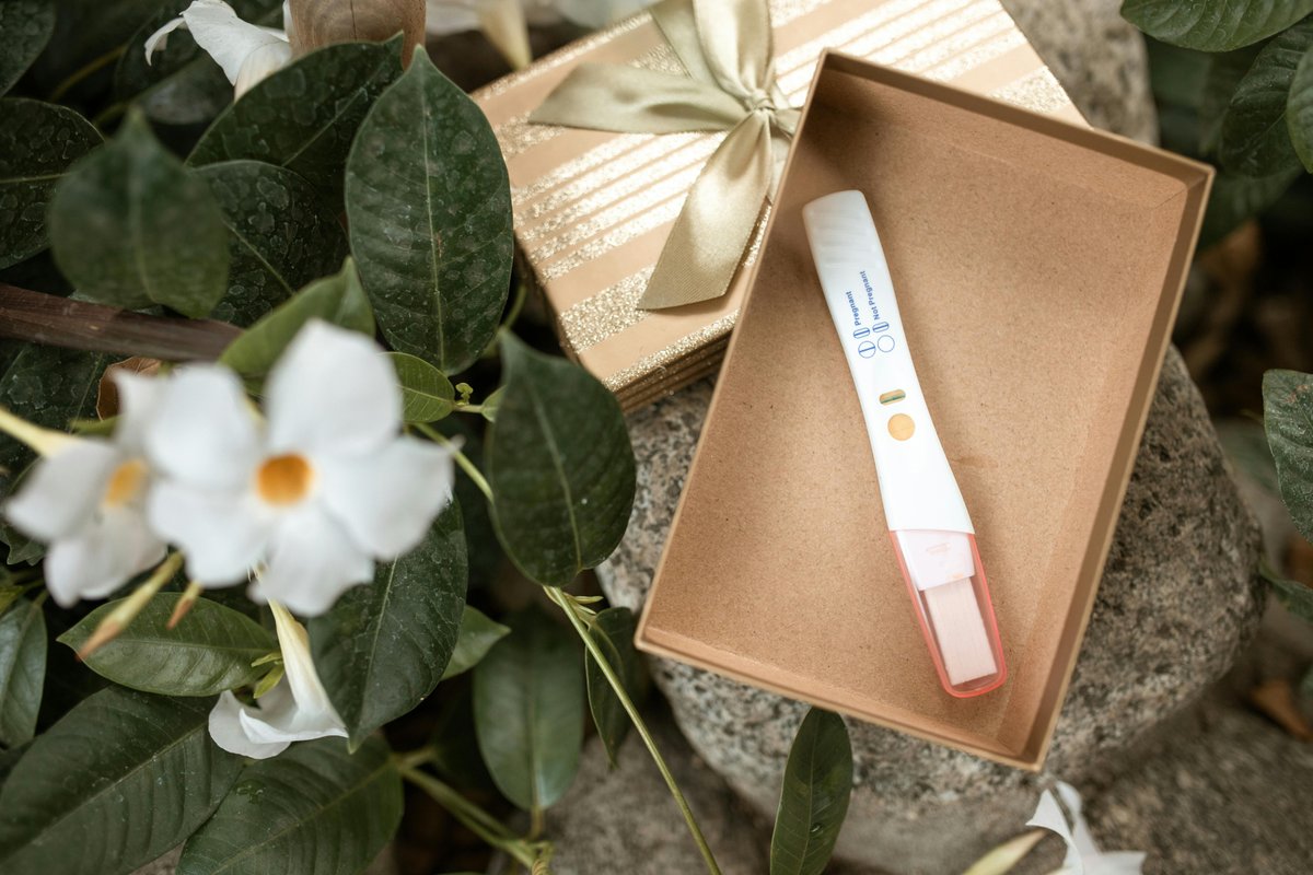 A pregnancy test in a decorative gift box surrounded by white flowers and green leaves.