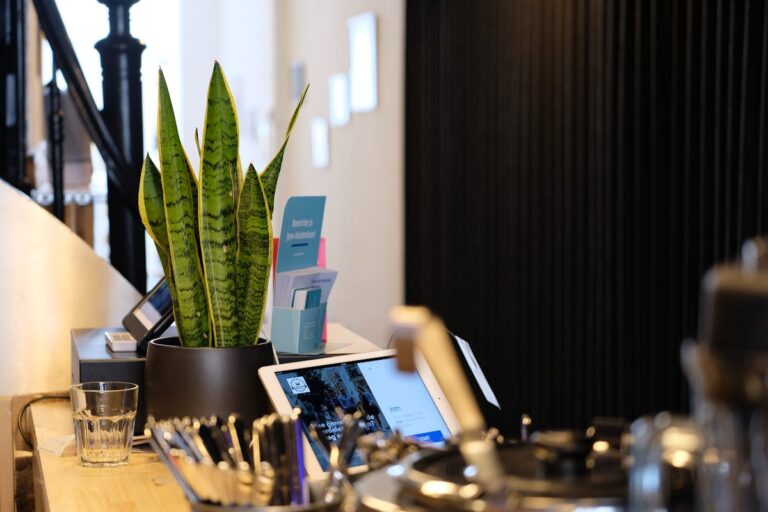 A sleek reception desk featuring a snake plant, glassware, and tech gadgets for a contemporary feel.