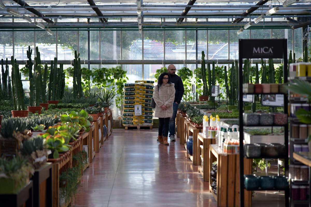 A vibrant indoor garden center with a variety of plants and two customers shopping.