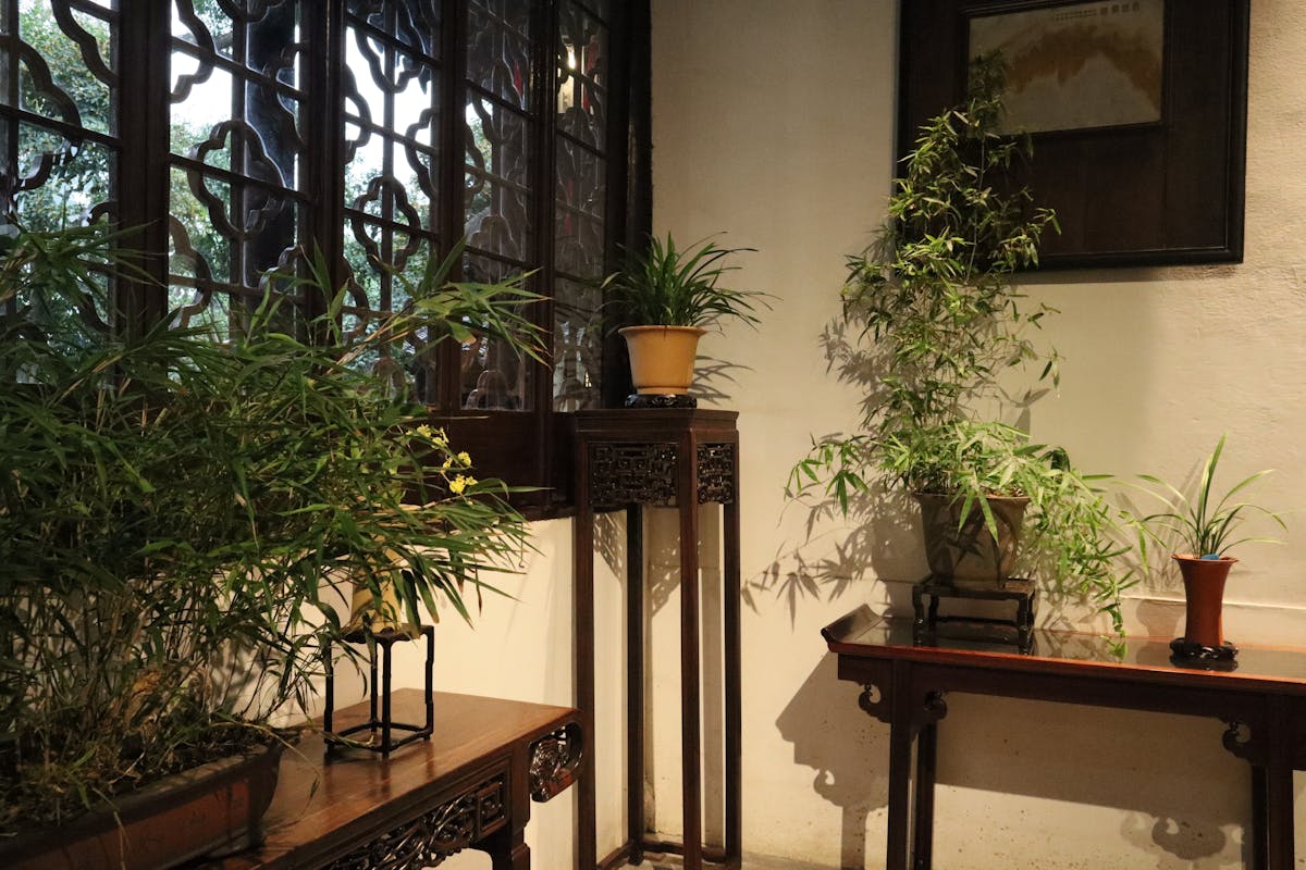 Serene indoor setting with potted bamboo and intricate wooden furniture in natural light.