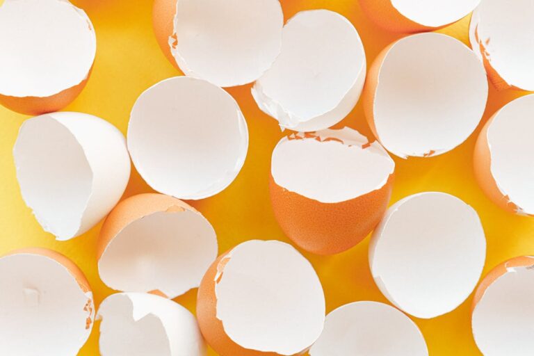 A minimalist image of scattered eggshells on a bright yellow background.