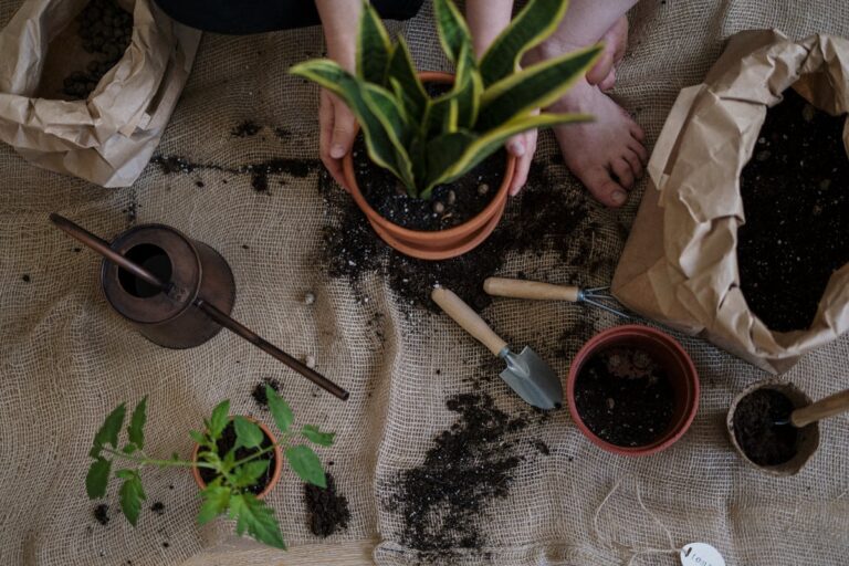 A serene scene of home gardening with potted plants and tools on a burlap mat.