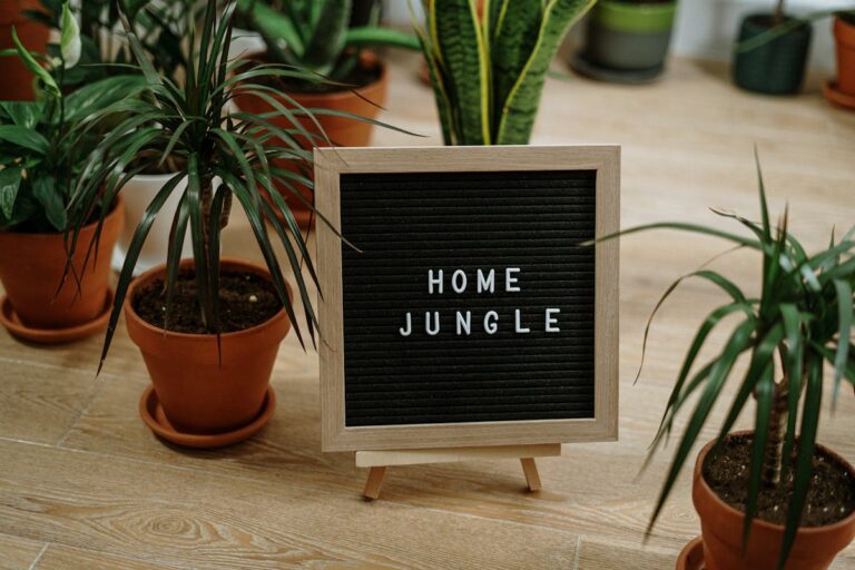 Cozy indoor setup featuring various potted plants and a "HOME JUNGLE" sign.