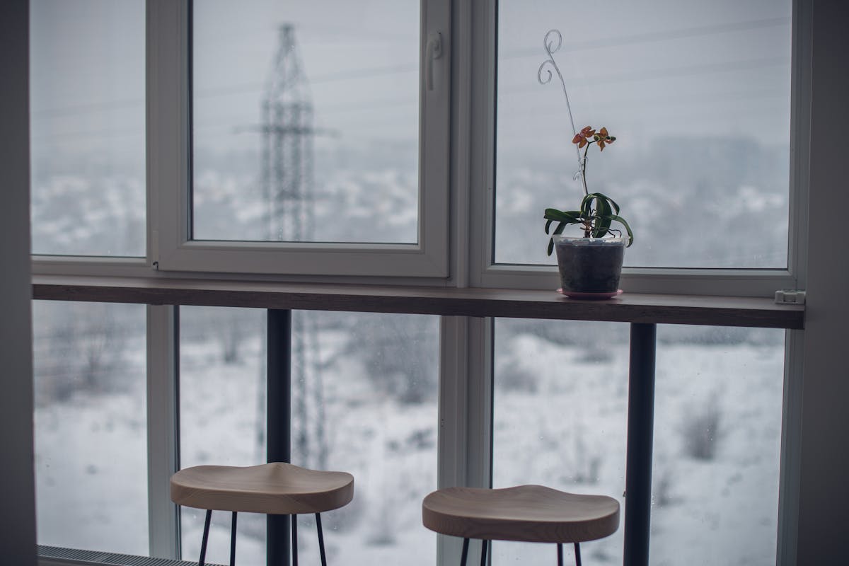 Tranquil indoor space with a houseplant by a window, overlooking a winter landscape.