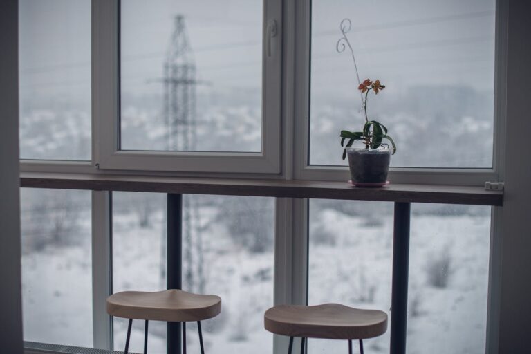 Tranquil indoor space with a houseplant by a window, overlooking a winter landscape.