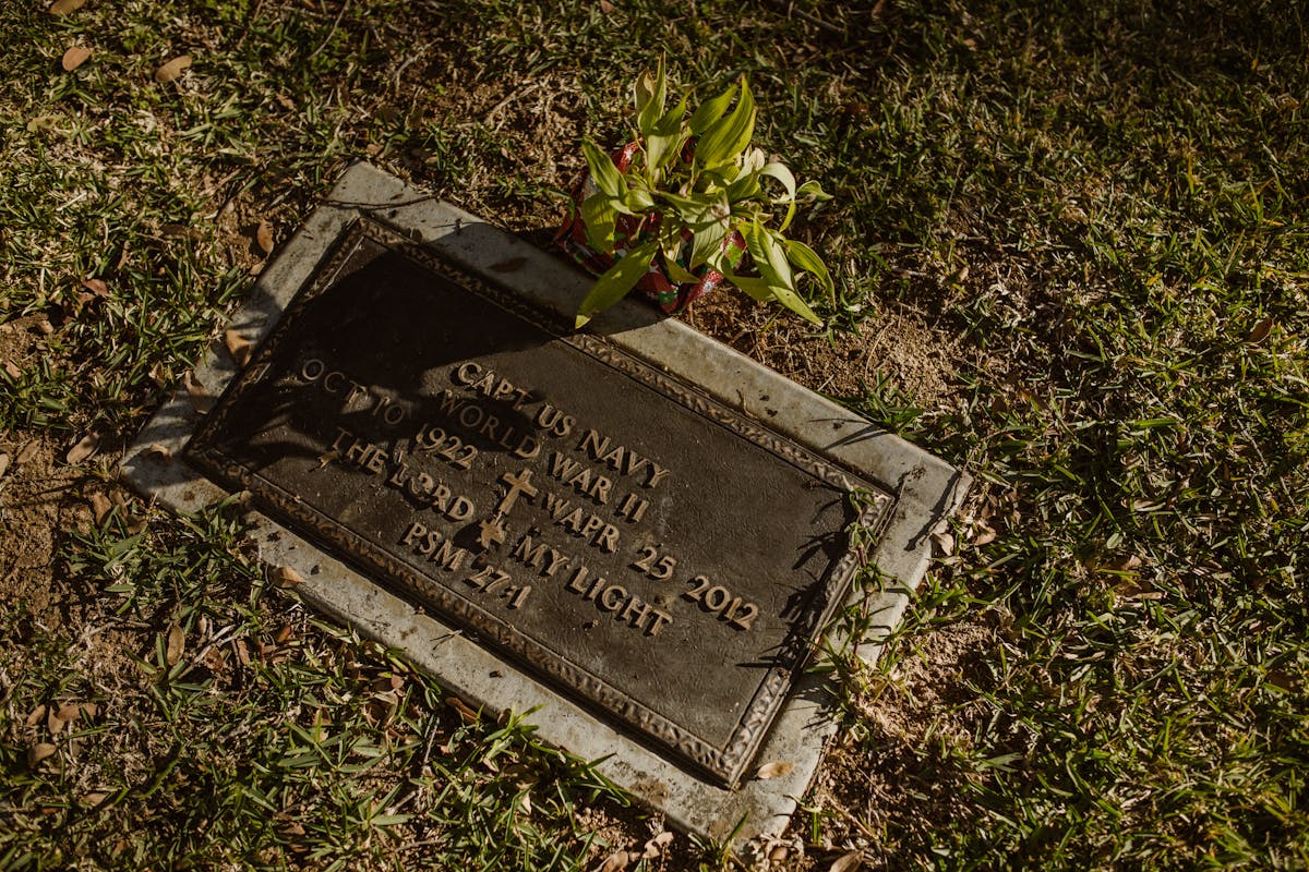 Close-up of a World War II veteran's tombstone with a plant placed on top, under sunlight.