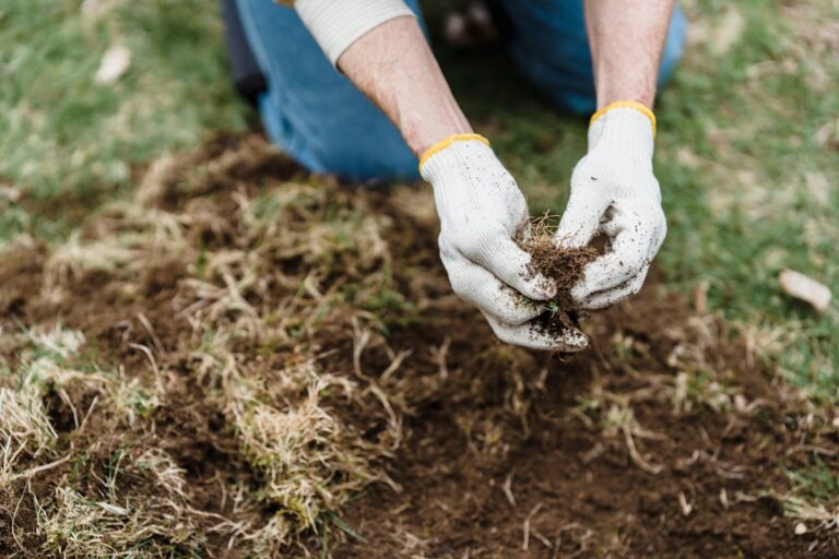 Close-up of a gardener's hands analyzing soil quality, promoting healthy plant growth.