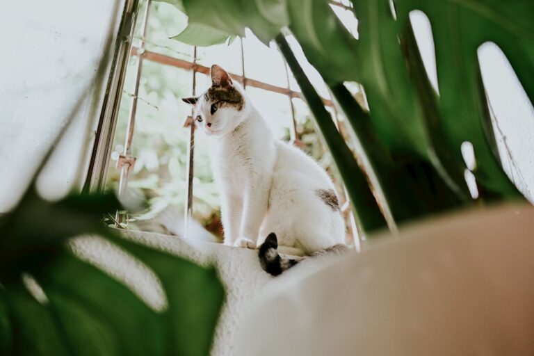 Charming domestic cat sits by a window surrounded by lush indoor plants, enjoying a sunny day.