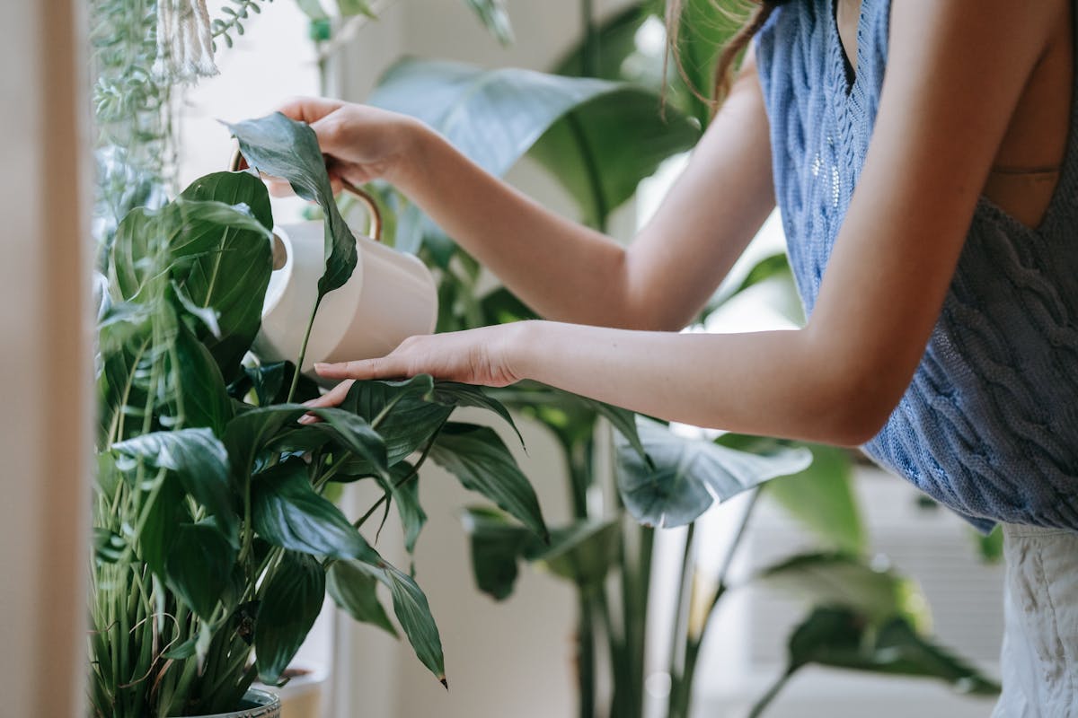 A person nurturing indoor plants with a watering can, promoting relaxation and care.