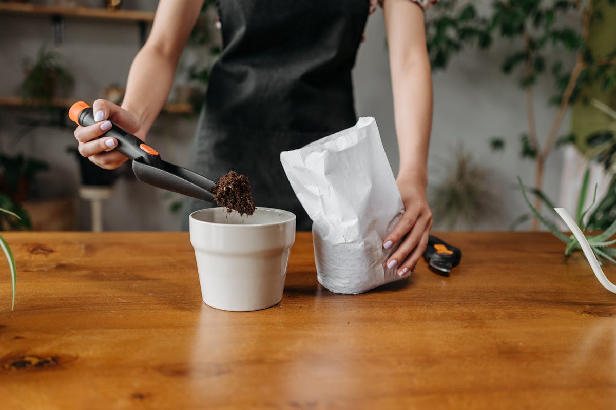 Person potting a plant with tools on a wooden table indoors.