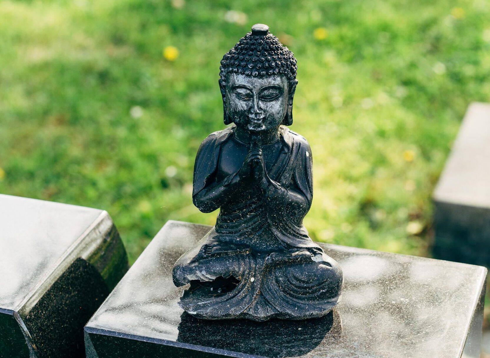 A peaceful Buddha statue on a pedestal in a sunlit garden, symbolizing tranquility.