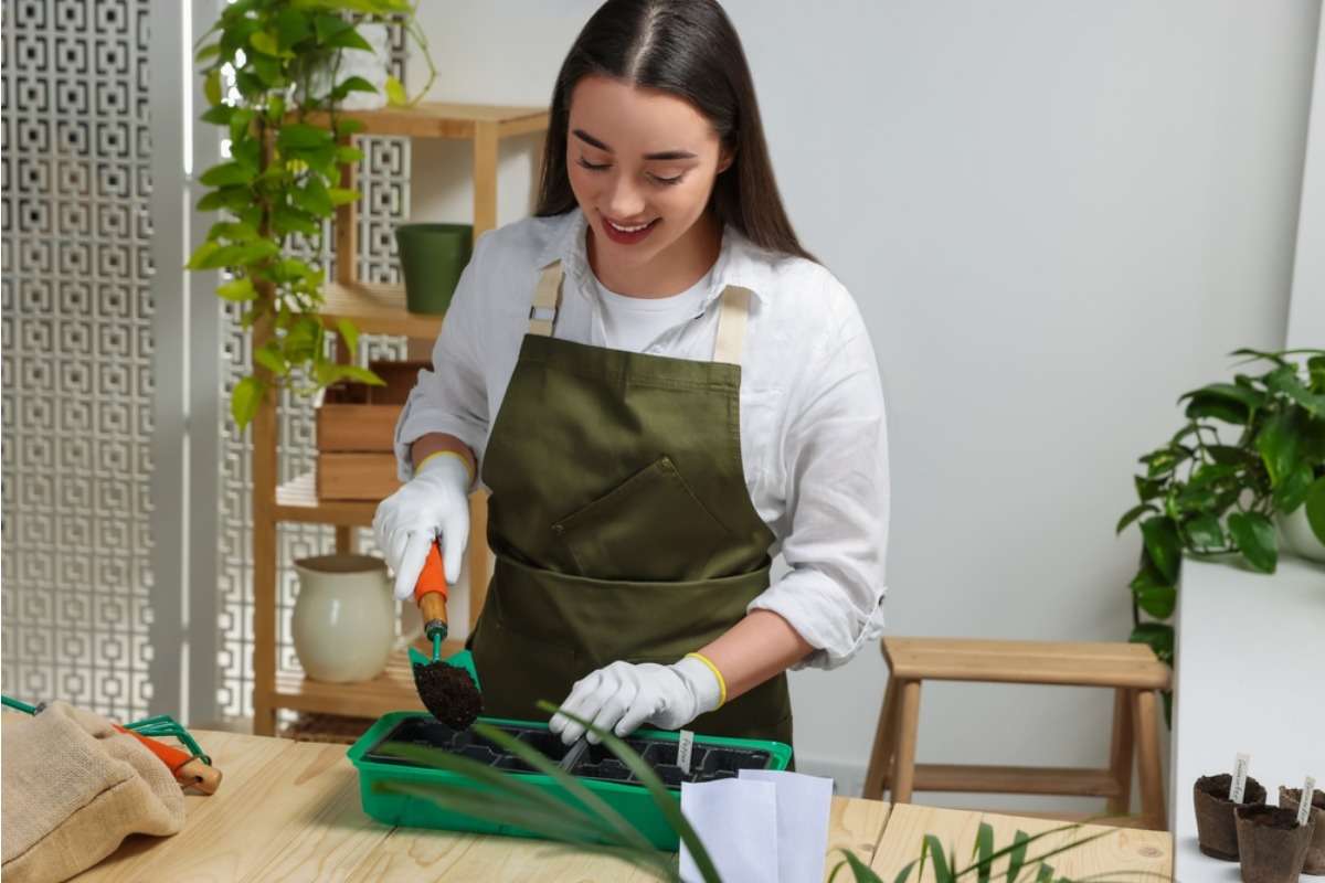 A Growing Number of Home Growers Are Using Natural Pest Barriers Instead of Chemicals, And It’s Changing How Gardens Stay Healthy