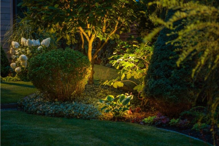 A New Trend of “Night Gardening” Is Emerging, And Cooler Hours Are Helping Plants Recover Better