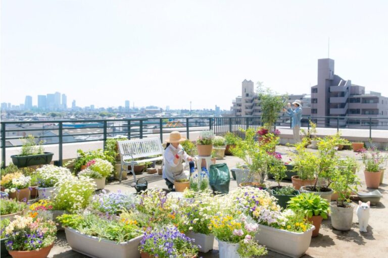 A Rising Number of Home Growers Are Using Shared Rooftop Gardens, And Communities Are Producing Food Together in Cities