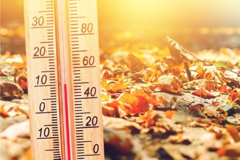 A Subtle Change in Night Temperatures Is Impacting Plant Recovery More Than Most People Expect