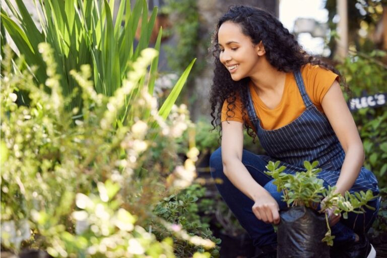 A Sudden Drop in Plant Health May Be Linked to Something Happening Underground Long Before Symptoms Appear