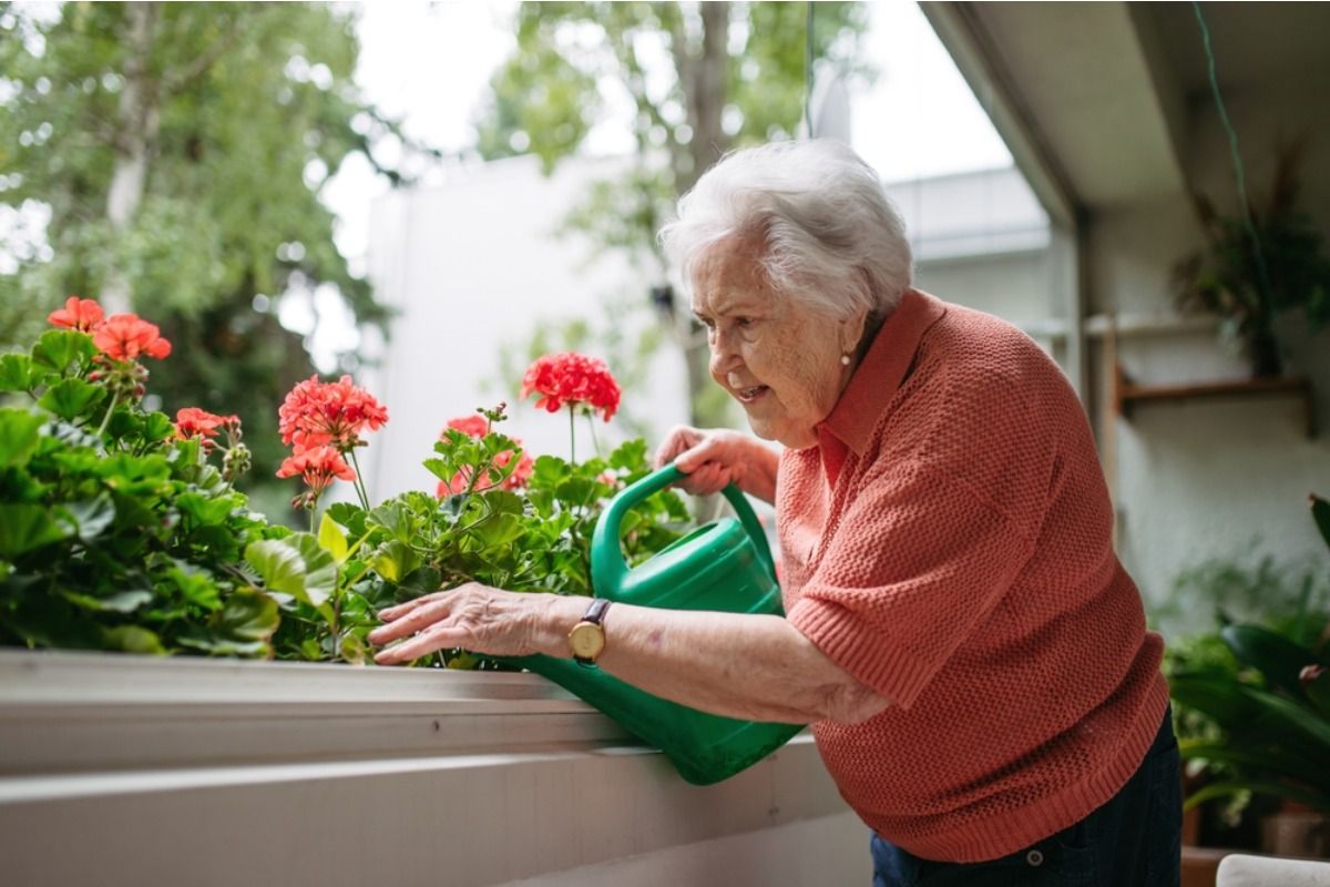 Balcony Gardeners Are Combining Flowers and Vegetables Together, And It’s Creating Both Beauty and Food in Small Spaces