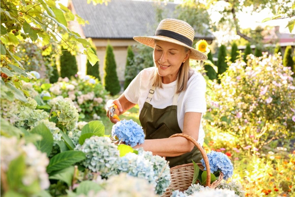 Beginner Gardener Asks for “Common Sense” Tips, and the Advice That Followed Reveals Mistakes Almost Everyone Makes — “I Didn’t Listen… and Regretted It All Season”