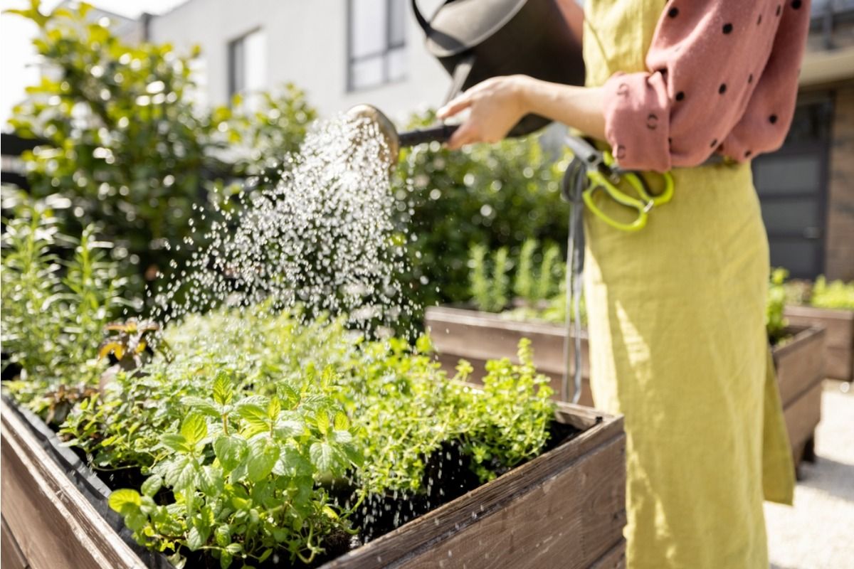Experts Warn That Inconsistent Watering Patterns May Be Affecting Plant Health More Than People Realize