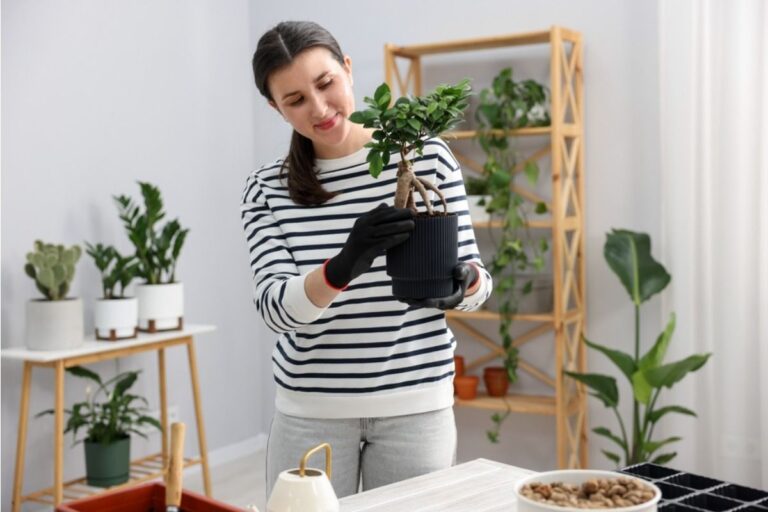 Gardener Says Someone Keeps Moving Her Pots Around Without Telling Her, Now Her Plants Are Reacting in Unexpected Ways
