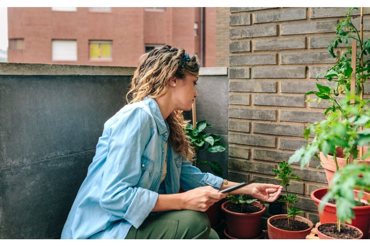 Gardeners Are Noticing Plants Growing Tall but Weak This Season, And One Common Habit Could Be the Cause