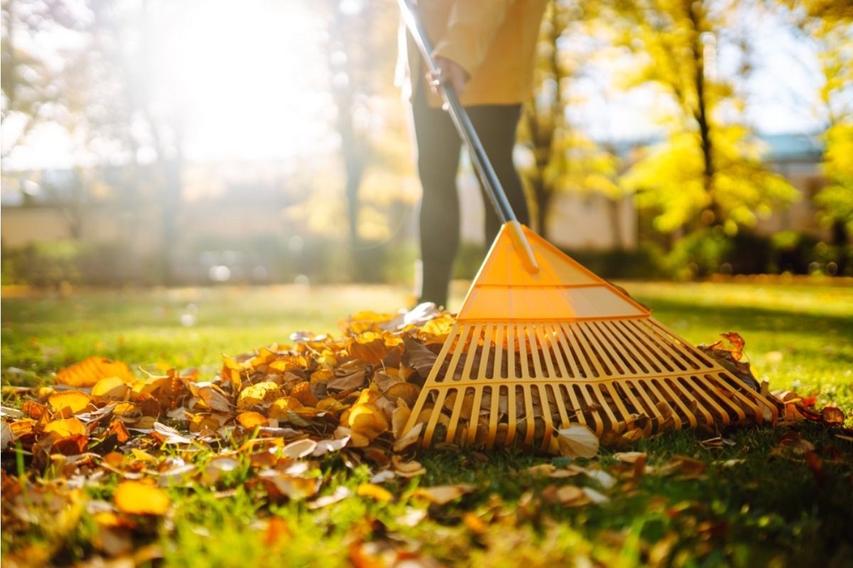 Gardeners Are Rushing to Clean Up Their Yards, But Some Say This One Spring Habit Can Do More Harm Than Good