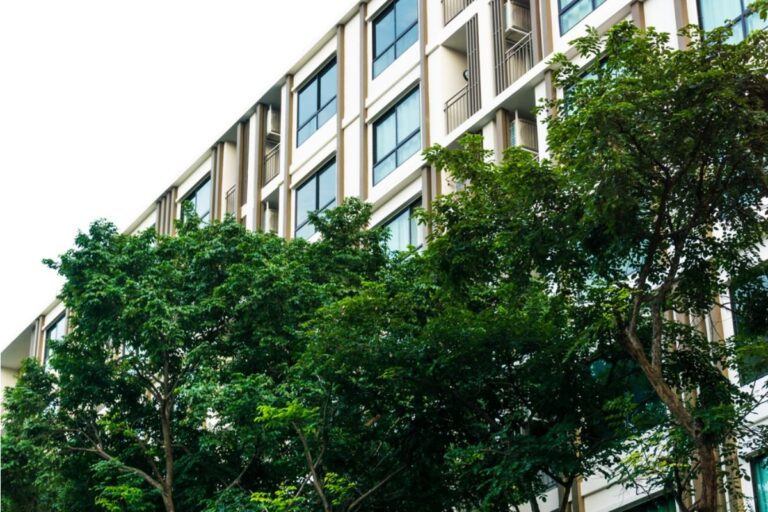 Gardener Says Neighbor’s Tree Is Blocking Sunlight, Now Her Entire Garden Is Struggling