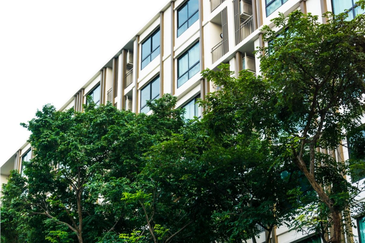 Gardener Says Neighbor’s Tree Is Blocking Sunlight, Now Her Entire Garden Is Struggling