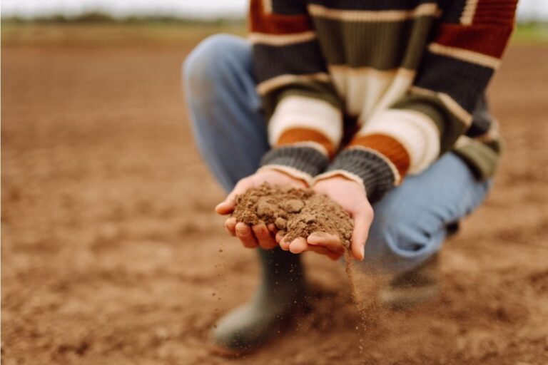 Gardeners Say This One Early Season Mistake Can Ruin Your Soil Before Summer Even Starts, It Looks Fine Until It’s Too Late