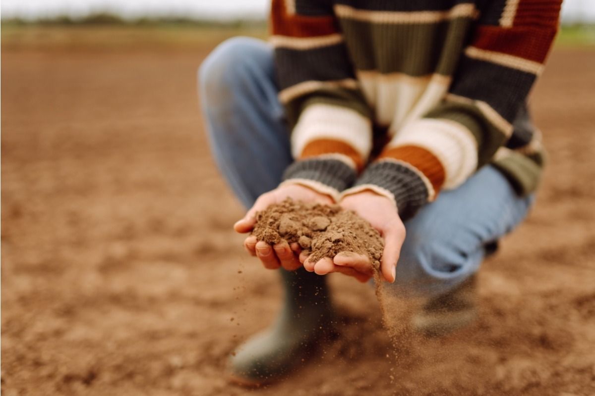 Gardeners Say This One Early Season Mistake Can Ruin Your Soil Before Summer Even Starts, It Looks Fine Until It’s Too Late