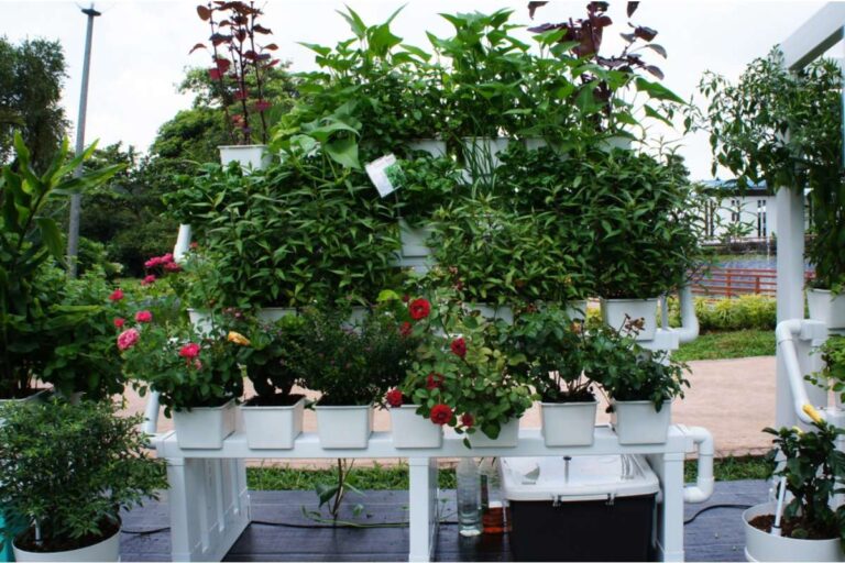 Home Gardeners Are Experimenting With Multi-Layer Planting Systems, And Small Spaces Are Producing Unexpectedly High Yields