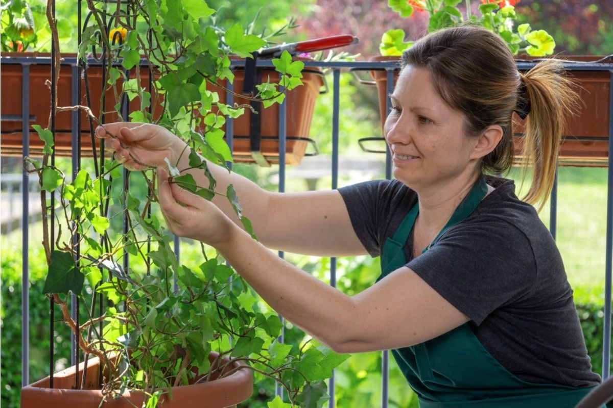 Home Gardeners Are Turning Apartment Railings Into Mini Farms, And Fresh Vegetables Are Growing in the Most Unexpected Places