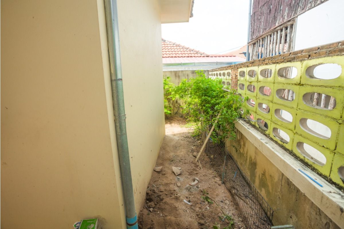 Home Gardeners Are Using Tiny Spaces Between Buildings to Grow Vegetables, And It’s Turning Unused Corners Into Food Sources