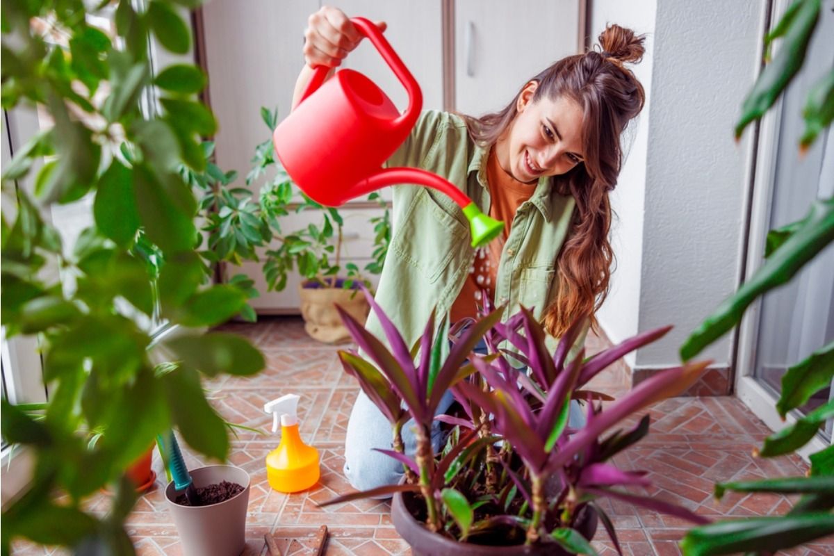 Home Gardening Is Becoming More Climate-Responsive, With People Adjusting Plant Choices Based on Weekly Weather Shifts