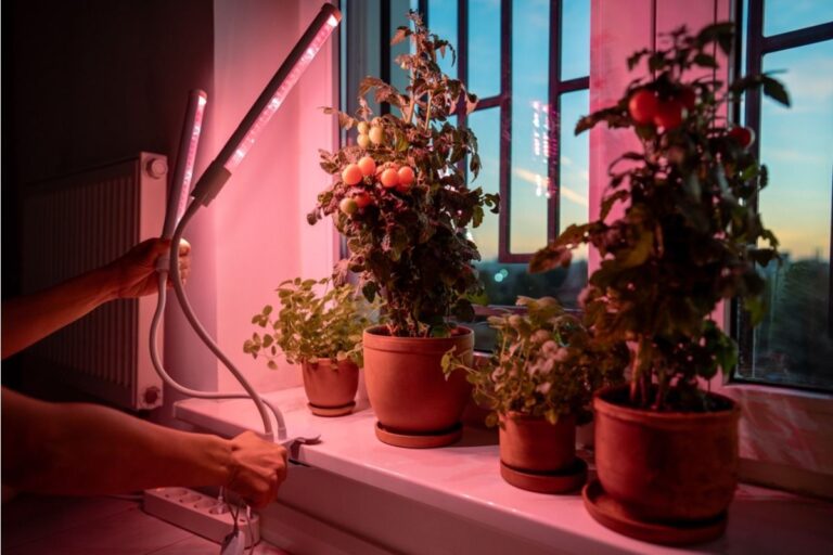 Home Gardening Is Moving Indoors With LED Grow Lights, And Even Winter Crops Are Starting to Become Normal